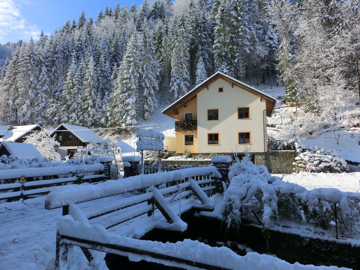 Gästehaus Forstner Loich Exterior foto